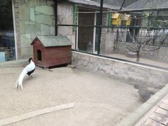 -北京市海淀外国语实验学校