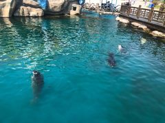 -华夏文旅海洋公园