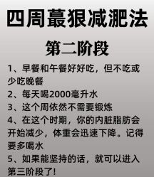 -Fundi张玉珊修身堂·indiba·BTL科技瘦身