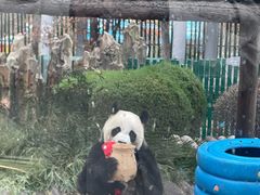 -大连森林动物园