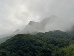 -沣峪口