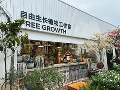 -自由生长植物工作室(深港花卉中心店)
