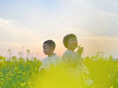 -桑洲油菜花景区