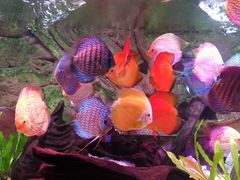 -上海海洋水族馆