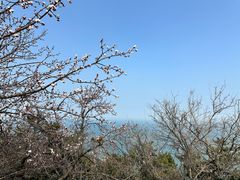 -刘公岛景区