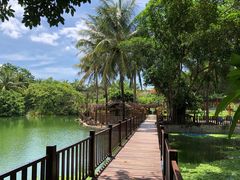 -三亚亚龙湾红树林度假酒店