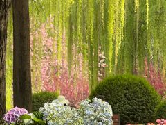 -唐城墙遗址公园