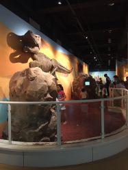 -北京科学中心儿童乐园