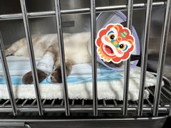 -四月宠物医院·猫专科·心脏专科·内科(转塘店)
