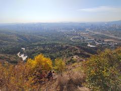 -红山国家森林公园