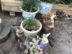 -浔岚云舍mist静谧观景美宿(丽江古城店)