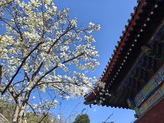 -红螺寺