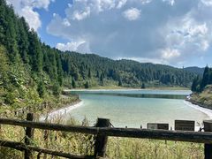 -武陵山森林公园