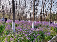 -白塘生态植物园