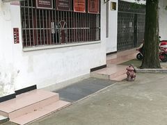 -东坡赤壁风景名胜区