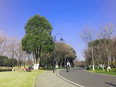 -东湖落雁景区