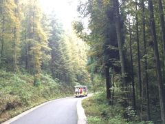 -山王坪喀斯特国家生态公园