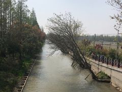 -上海长兴岛郊野公园