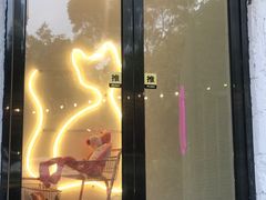 门面-有猫主题·治愈系猫咖(曾厝垵店)