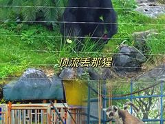-南宁市动物园