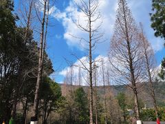 -宝岩生态观光园