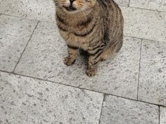 -静安公园(静安寺街道)