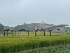 -品鲜村农家菜·阳澄湖大闸蟹(总店)
