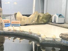 -南京海底世界