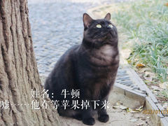 -西园寺