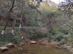 -杭州半山国家森林公园