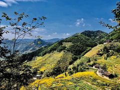 -紫鹊界梯田景区