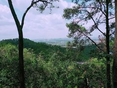 -滴水岩森林公园