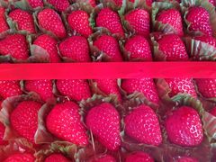 -红星农博物流中心