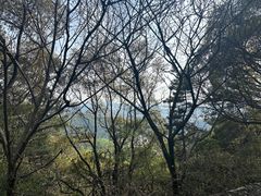 -惠山国家森林公园