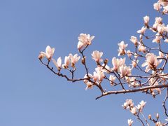 -颐和园