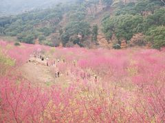 -福清灵石山国家森林公园