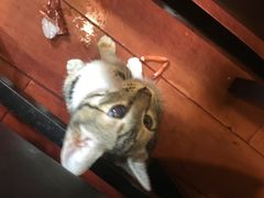 -吉友粥底火锅(方斜路店)