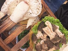 -易门野生菌府·菌海森林(月牙潭公园店)