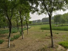 -东郊湿地公园
