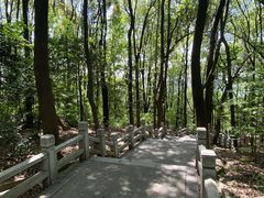 -灵岩山风景区