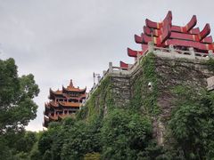 -黄鹤楼公园(黄鹤楼)