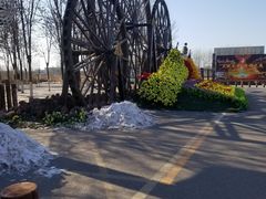 -呀路古热带植物园