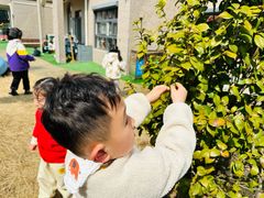 -布朗幼儿园(北江豪庭园)