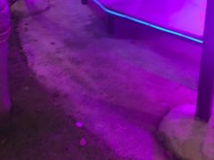 -洪湖家庭农场·团建·露营·会议