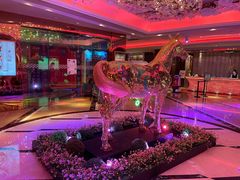 -纯K(打浦桥店)