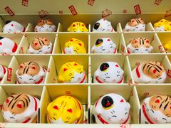 -猫的天空之城概念书店(杭州南宋御街店)