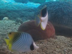 -北戴河圣蓝海洋公园