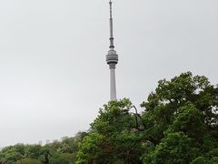 -龟山风景区-龟山电视塔