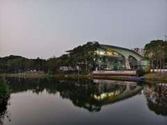 -新江湾城公园