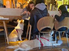 -the rug 飞毯 (朝阳公园店)